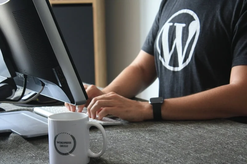 user with wordpress t-shirt