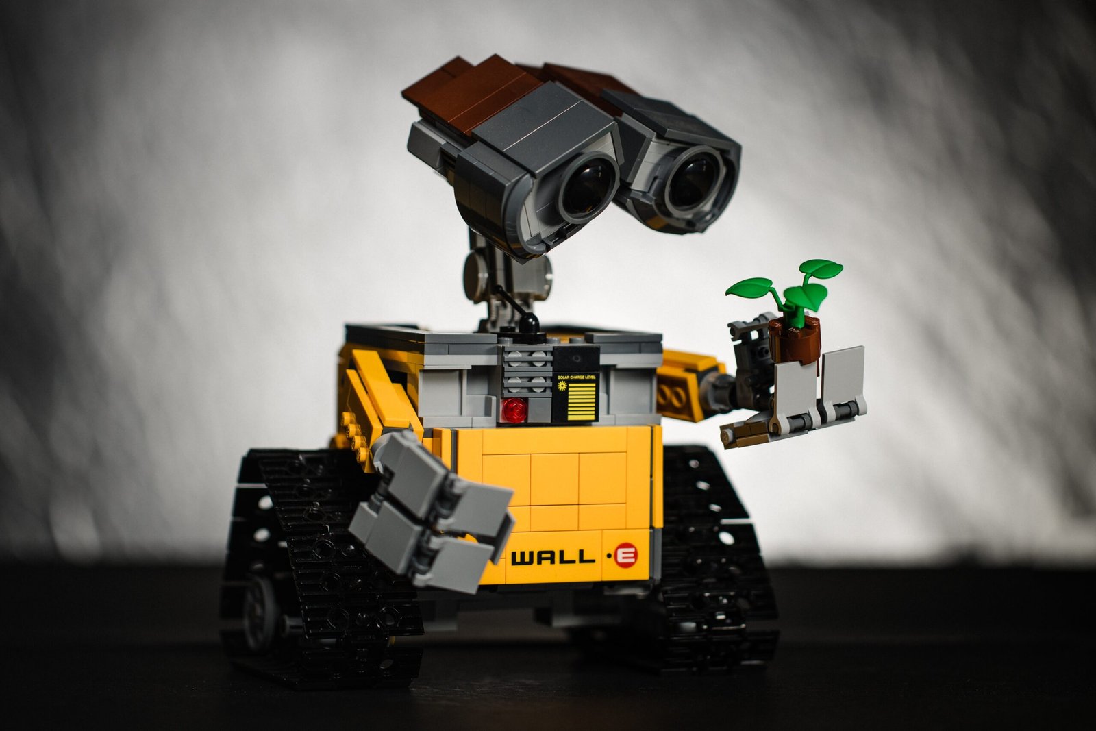 wall-e looking at a plant