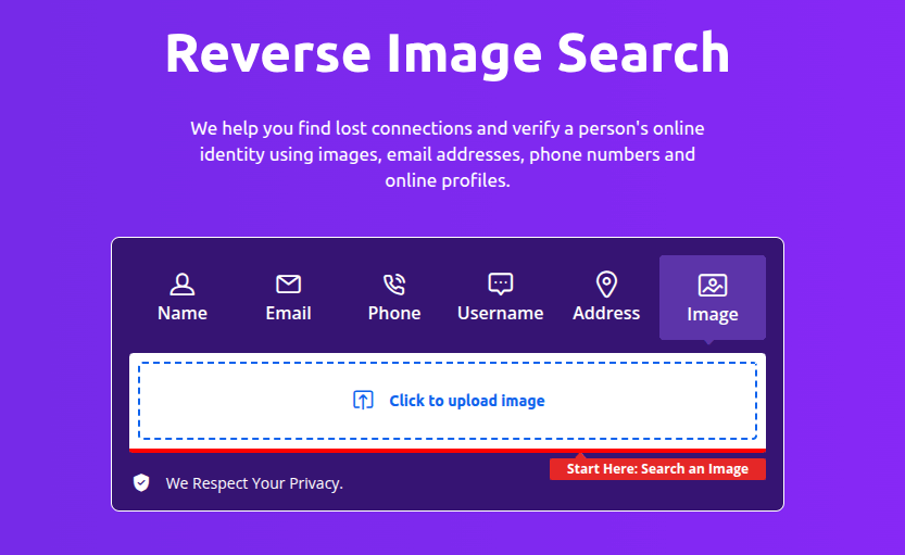Form ready to receive images, email addresses, phone numbers
